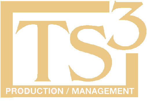 TS3