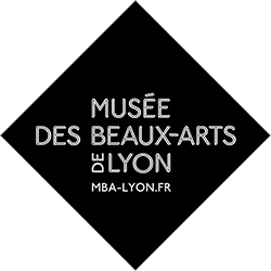 Musée Beaux Arts Lyon